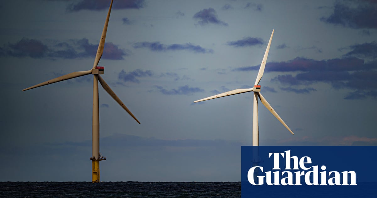 UK’s offshore windfarms to be painted black to protect birds