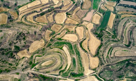 An aerival view of Loess terraces after wheat harvest