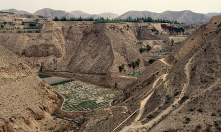 ‘All the birds returned’: How a Chinese project led the way in water and soil conservation