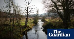 Changes to bathing water status test will deny rivers protection, say critics