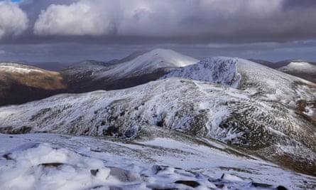 Mystery donor’s £17.5m gift could turn Scottish estate into rewilding showcase