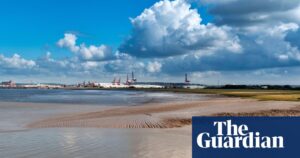 Urgent action needed to harness tidal power in Severn estuary, say experts