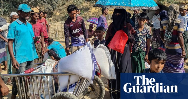 World Food Programme halves food rations for Rohingya in Bangladesh