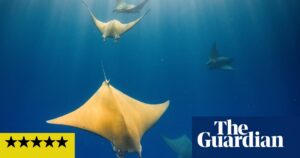 Ocean with David Attenborough review – a passionate case against the ruination of the seas