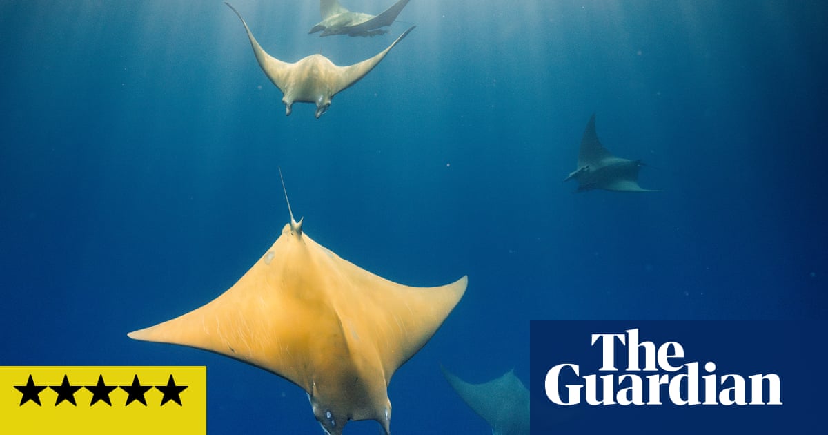 Ocean with David Attenborough review – a passionate case against the ruination of the seas