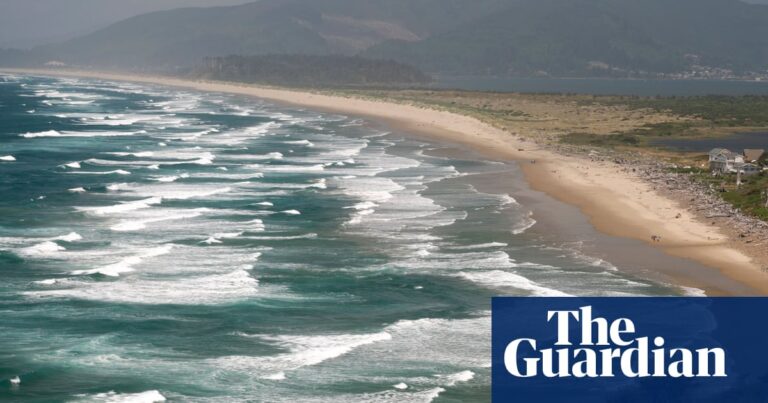 Powerful earthquake could raise Pacific north-west sea levels ‘dramatically’ – study