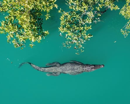 ‘The river keeps us alive, we keep the river alive’: new documentary captures the Kimberley and its custodians